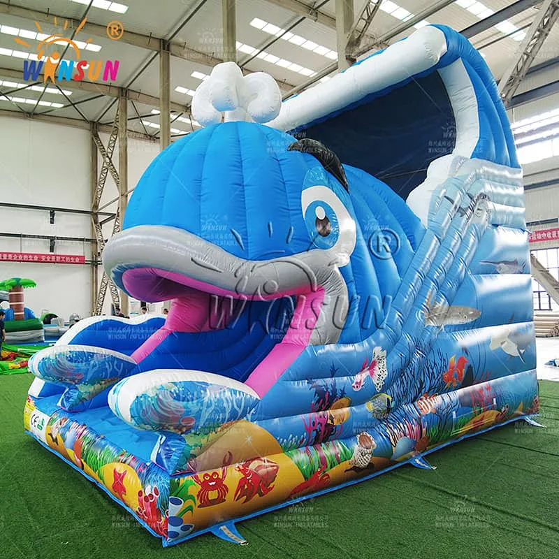 Fun Inflatable Whale Slide